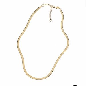 Jennifer Zeuner Karli Necklace (Retail $187)